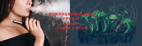дурь Арсеньев