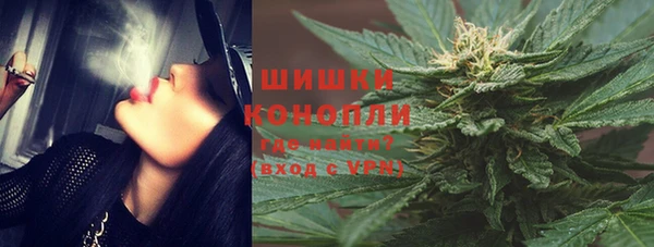 дурь Арсеньев