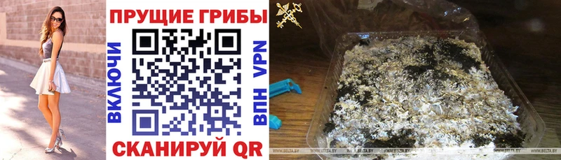 ОМГ ОМГ купить наркоту Лесосибирск Псилоцибиновые грибы прущие грибы
